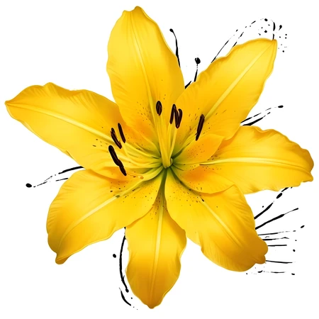 Top Left
