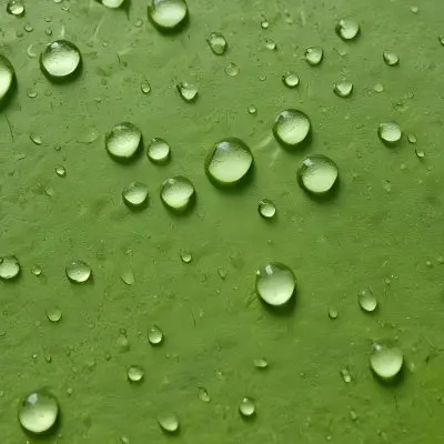 Water Droplets